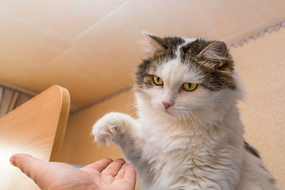 承認後、カフェまでお迎え